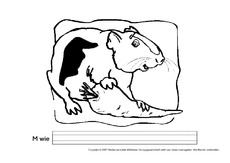 M-wie-Meerschweinchen.pdf